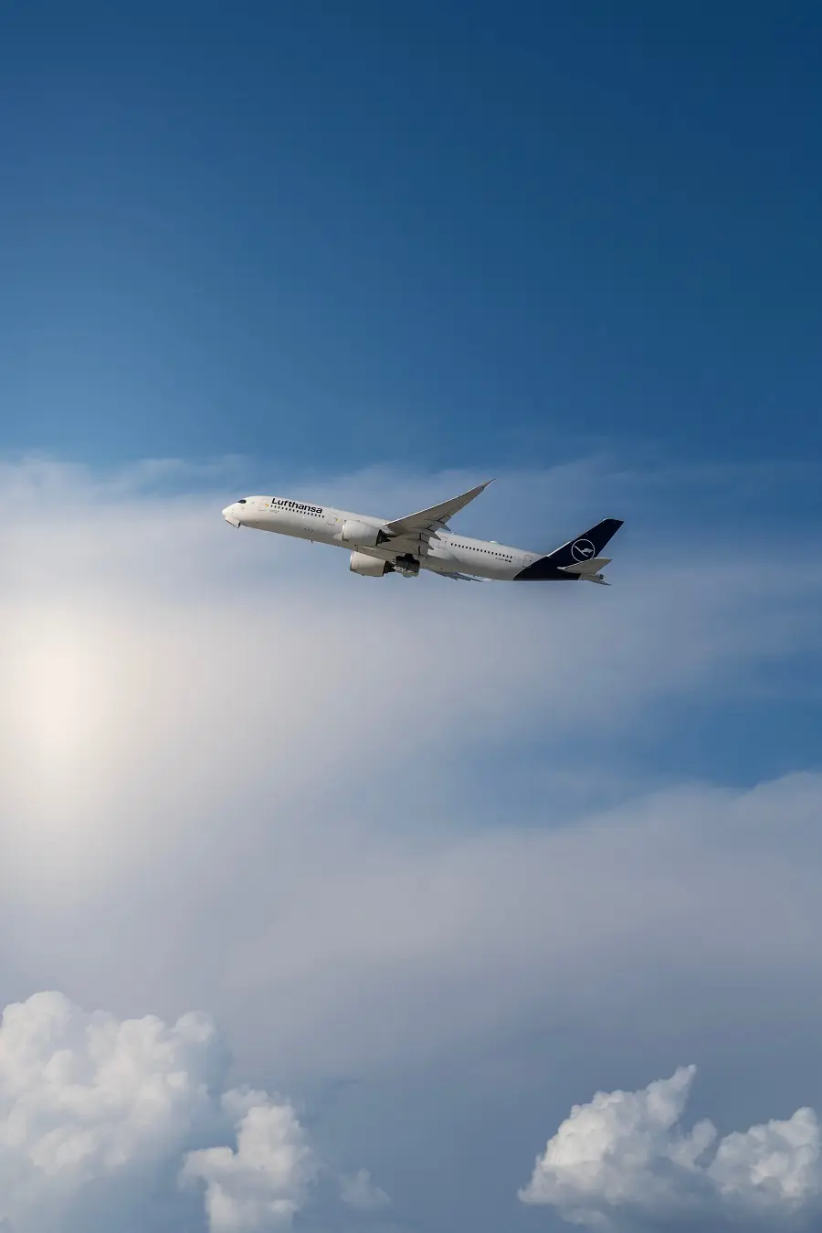 Transfer aeroportuale a Los Angeles