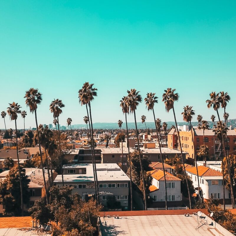 BUSINESS TRIPS IN LOS ANGELES