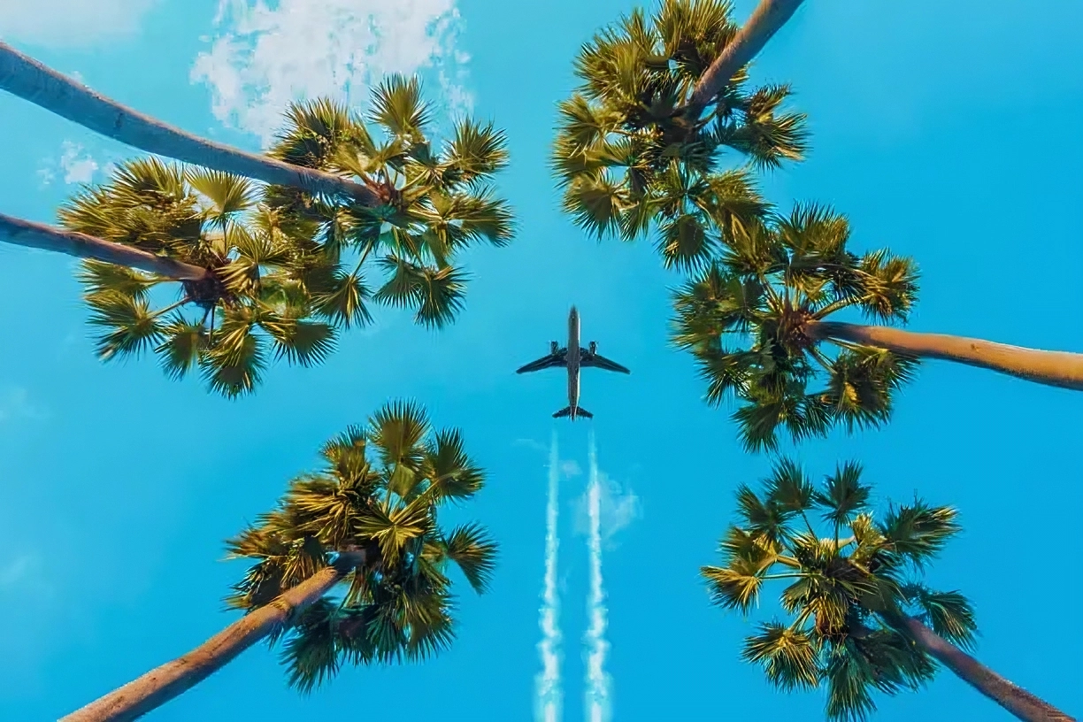 LAX Transfer in 2025: Elevating Your Los Angeles Travel Experience